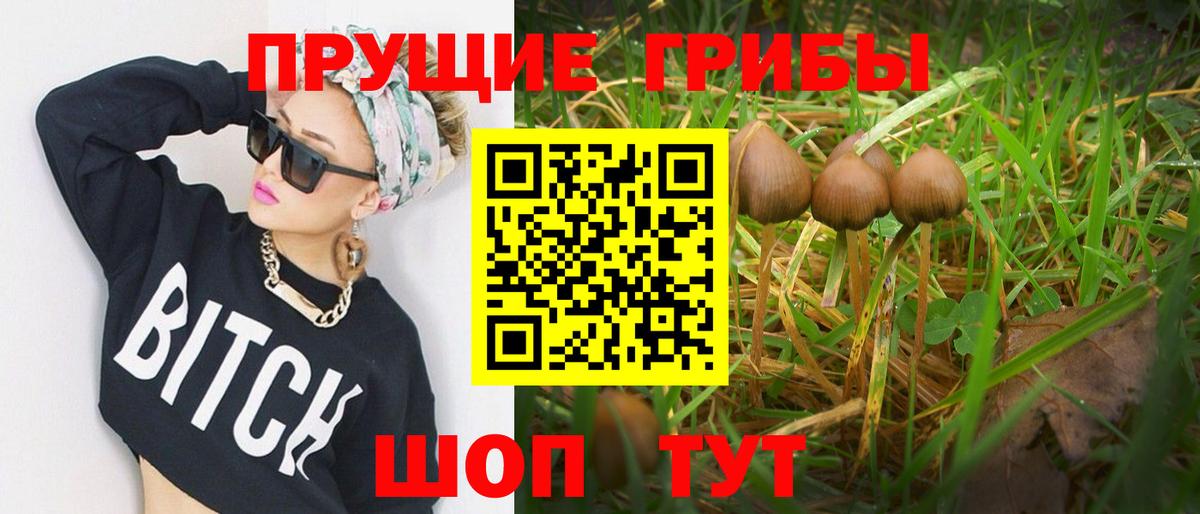 Калач-на-Дону  Псилоцибиновые грибы GOLDEN TEACHER  Галлюциногенные грибы прущие грибы  наркота  Вход с VPN 