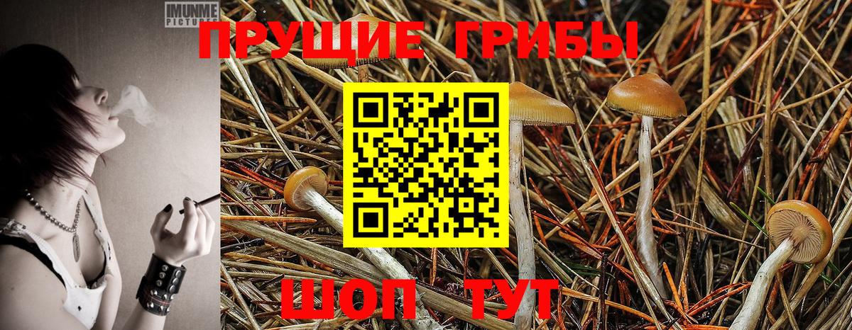 Псилоцибиновые грибы MAGIC MUSHROOMS Калач-на-Дону